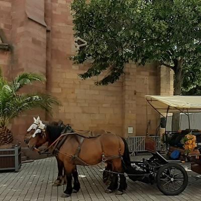 Grand chariot bâché