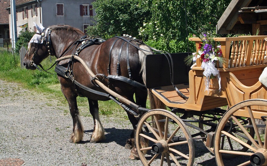 Mariage d'été