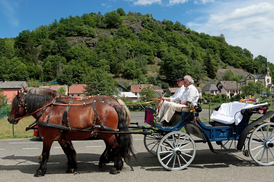 Chevaux bichonnés, calèche fleurie : on y va !