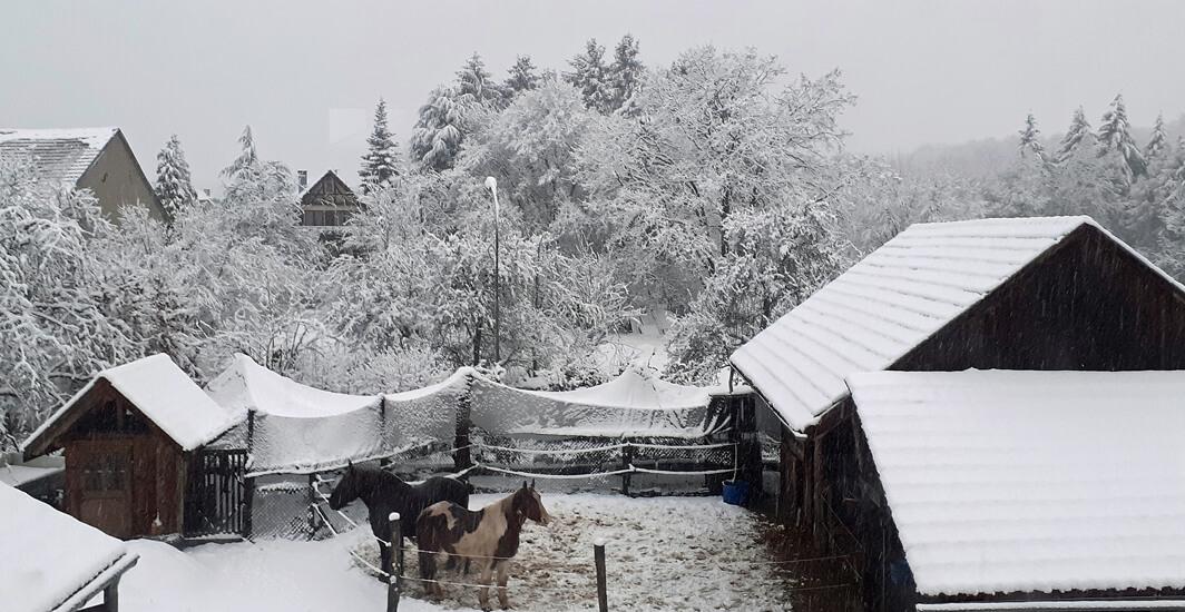 Sous la neige