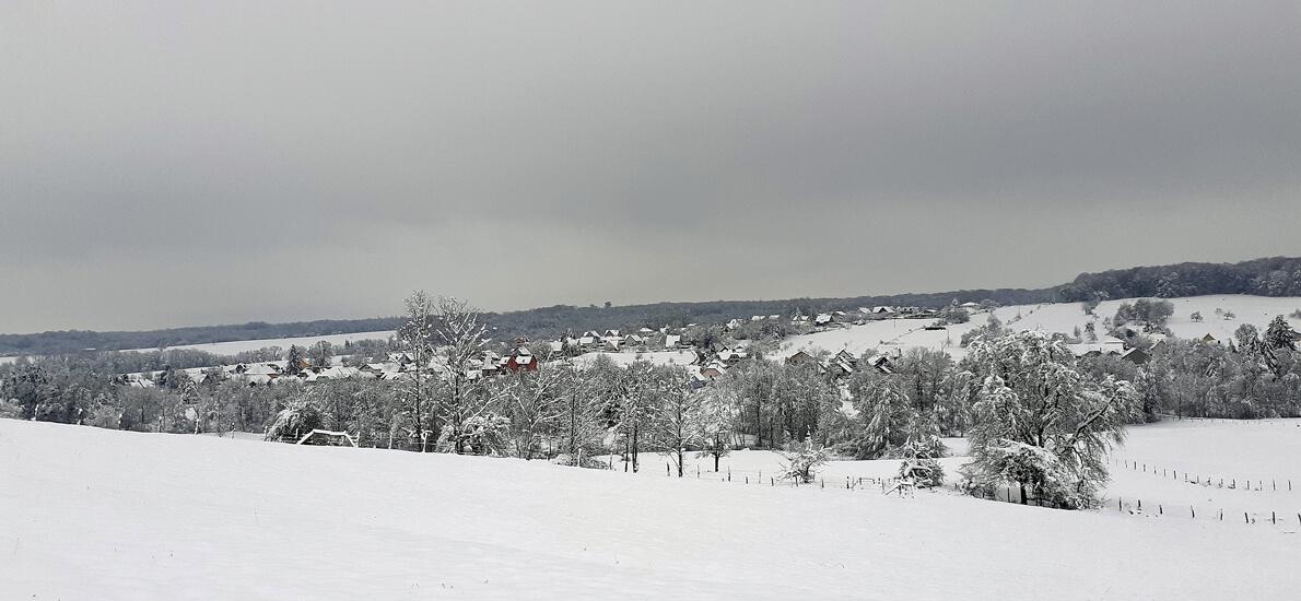 Sous la neige