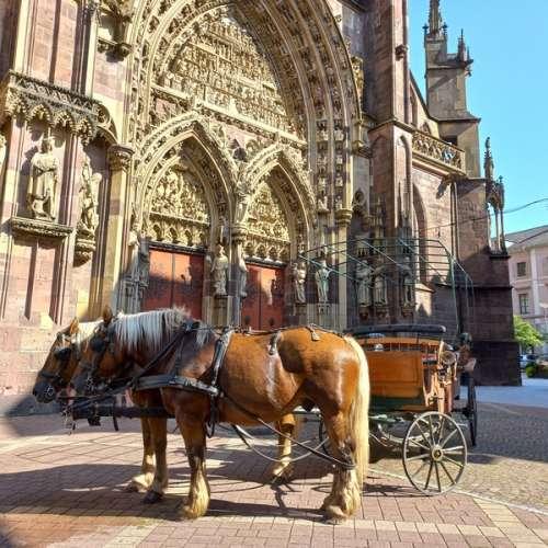 Visite guidee caleche thann tourisme aux trois marteaux